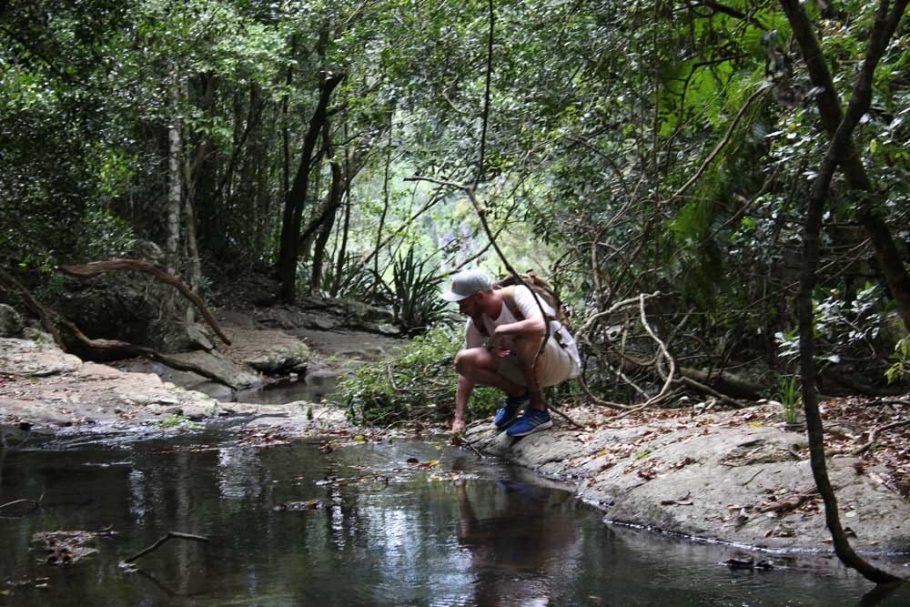 Naturaleza de Australia chico arrodillado cogiendo algo de un río y rodeado de árboles
